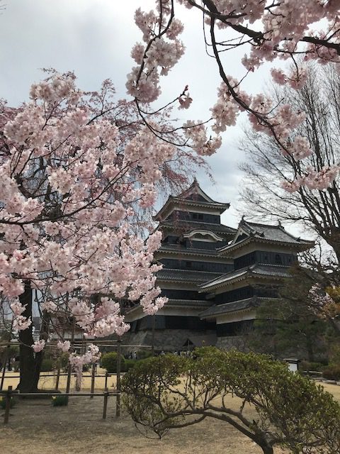 白蟻防除工事はしてますか？